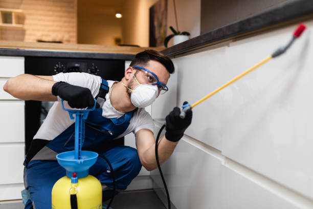 Best Exterminator Services  in Ellenville, NY