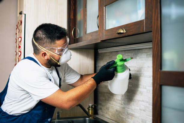 Best Pest Removal Services  in Ellenville, NY
