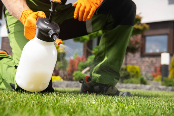 Best Mosquito Control Services  in Ellenville, NY