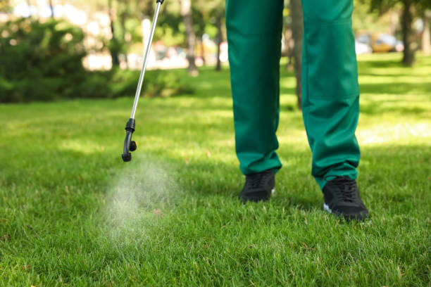 Best Residential Pest Control  in Ellenville, NY