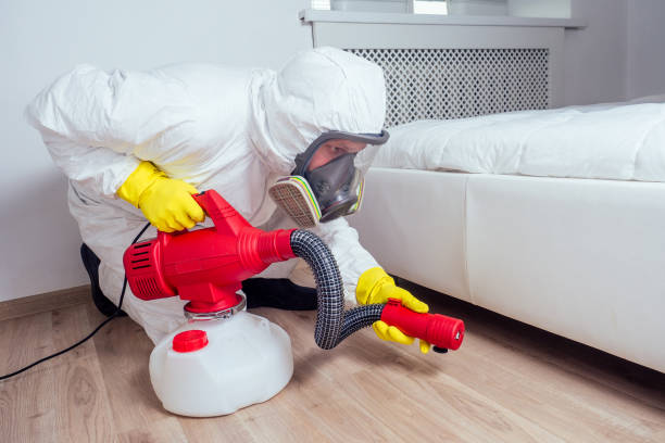 Best Wasp Removal Services  in Ellenville, NY