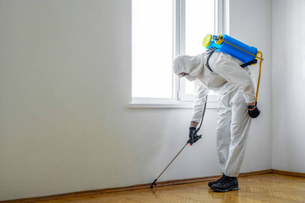 Best Best Pest Control Companies  in Ellenville, NY