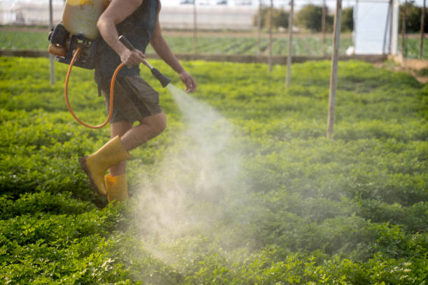 Best Affordable Pest Control Services  in Ellenville, NY