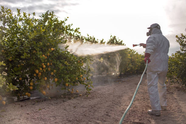 Best Best Pest Control Companies  in Ellenville, NY