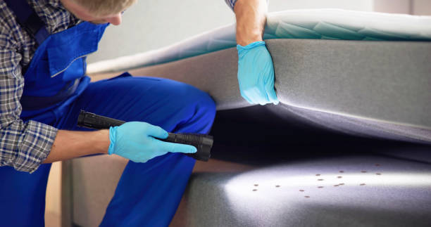 Best Ant Control Services  in Ellenville, NY