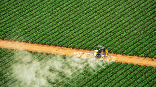 Best Commercial Pest Control Services  in Ellenville, NY