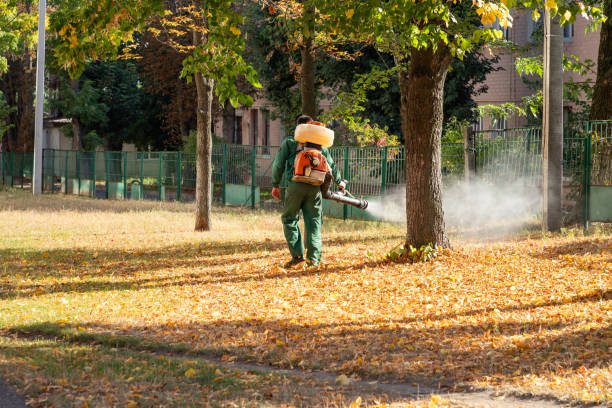 Best Flea Control Services  in Ellenville, NY