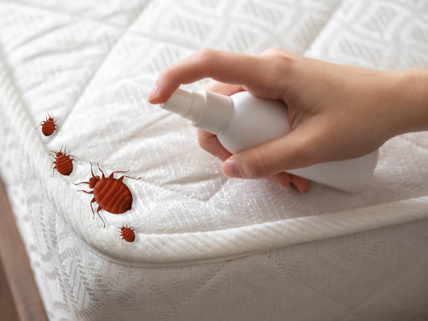 Best Affordable Pest Control Services  in Ellenville, NY