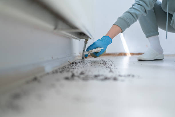 Reliable Ellenville, NY Pest Control Solutions