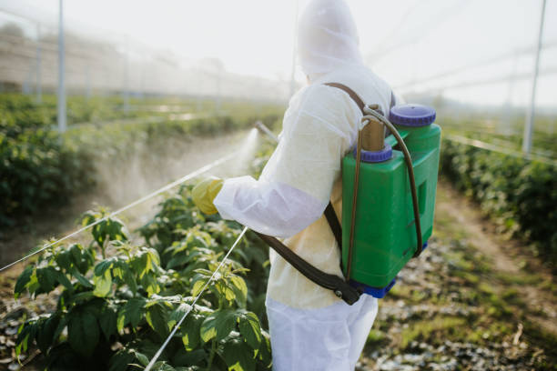Best Pest Removal Services  in Ellenville, NY